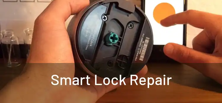 Smart Lock Repair